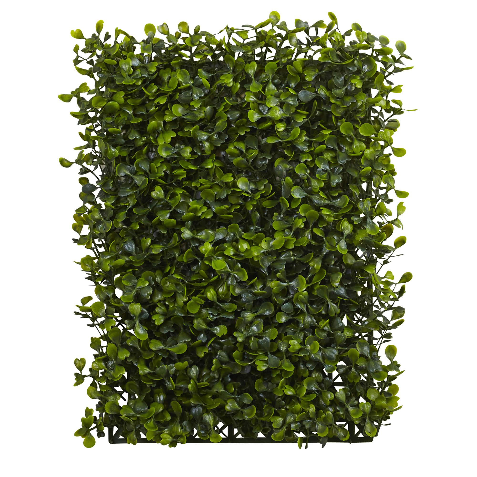 Green Boxwood Mat Set, 12ct.